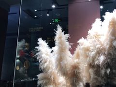 -蜀九香火锅(九眼桥店)