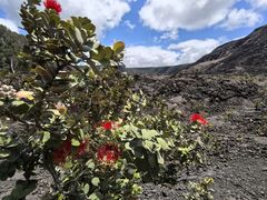 -夏威夷火山国家公园