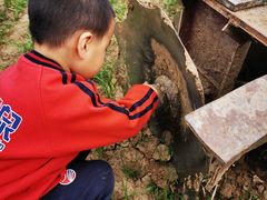 -幸福泉幼儿园(大后仓胡同)