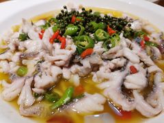 -三猫黑鱼花(南大店)