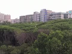 -霞山观海长廊