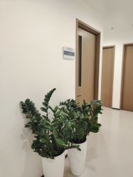 -丰联丽格医疗美容·联合丽格眼整形中心