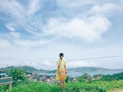 -枸杞岛