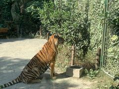 -上海野生动物园