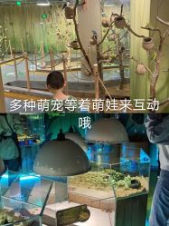-七巧国萌宠乐园(龙湖天街店)