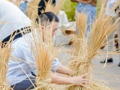 -中国天府农业博览园