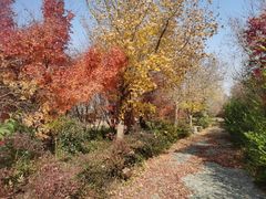 -淇河国家湿地公园