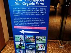-上海佘山世茂艾美酒店