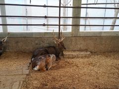 -南宫五洲植物乐园