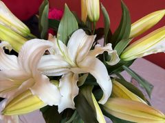 -塞纳河法国餐厅(意式风情街店)