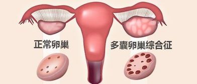 -邢台妇产医院