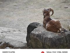 -上方山森林动物世界