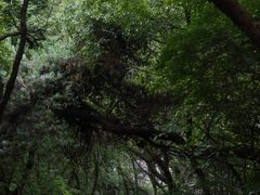 -宁波市保国寺古建筑博物馆