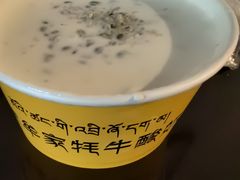 -老牟家牦牛酸奶