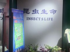 -上海昆虫博物馆