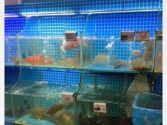 水产区-叶姐海鲜(棋子湾店)