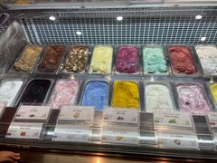 -iceason爱茜茜里·意大利健康冰淇淋(骑龙巷店)