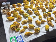 -中环花鸟鱼虫市场