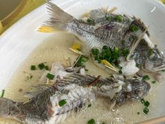 -八仔大富楼·河鲜(西江店)