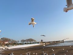 -老虎石海上公园