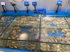 -凯悦·东方公主号 全球海鲜自助餐厅(凯丹广场店)