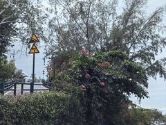 -三亚西岛海洋文化旅游区