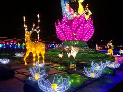 -金城公园