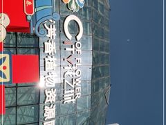 -花之城