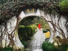 -龙井草堂
