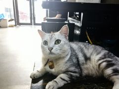 -锤子火锅(百步亭金桥汇2期店)