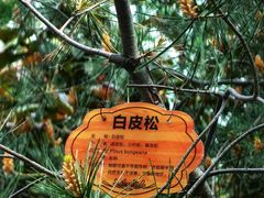 -老君堂公园