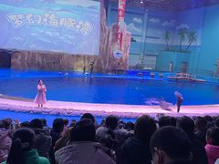 -华夏文旅海洋公园