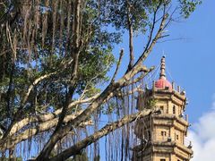 -船政文化景区-罗星塔公园