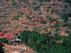 -香山公园-东宫门售票处