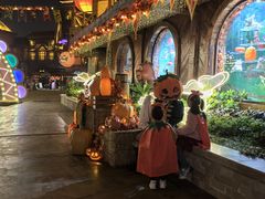 -郑州方特梦幻王国