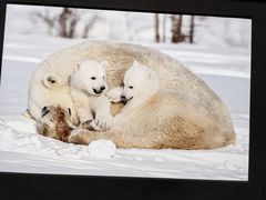 -罗红摄影艺术馆