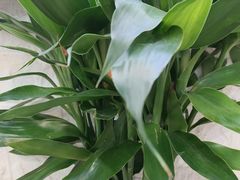 -来之顺海鲜菜馆·青岛菜·始于1993(栈桥店)