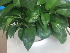 -北京京宝行宝马4S店(闵庄路店)