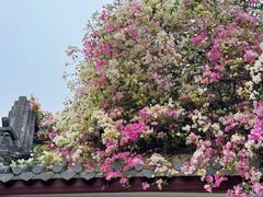 -深圳国际园林花卉博览园