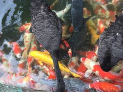-湖鲜楼