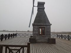 -宁波杭州湾国家湿地公园