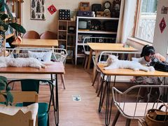 -小时光咖啡馆(开森度假森林店)
