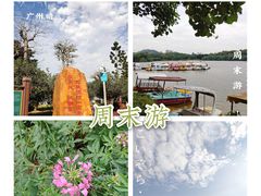 -番禺大夫山森林公园
