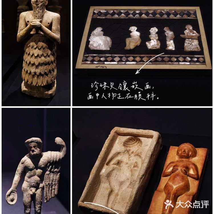 深圳“最大”的博物馆，你知道吗❓❗️