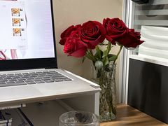 -桂林市花鸟市场