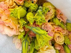 -循礼门鲜花花市(武汉循礼门店)