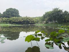 -河南省黄河迎宾馆