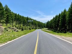 -塞罕坝国家级自然保护区