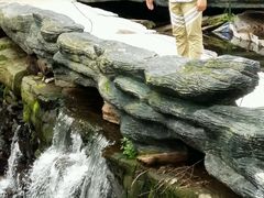 -凤凰山国家森林公园