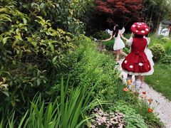 -上海共青森林公园